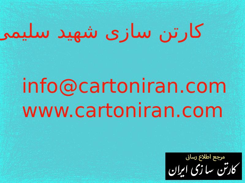 کارتن سازی شهید سلیمی